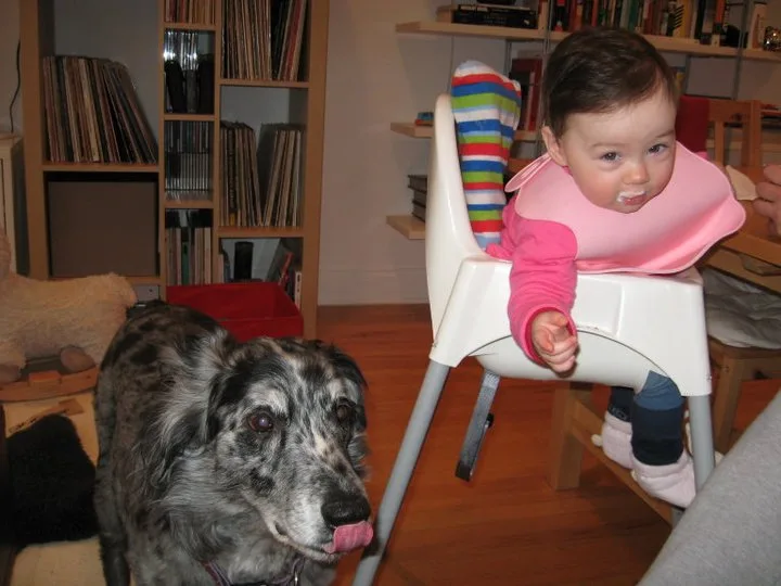 Eve & Ela, Şubat 2011