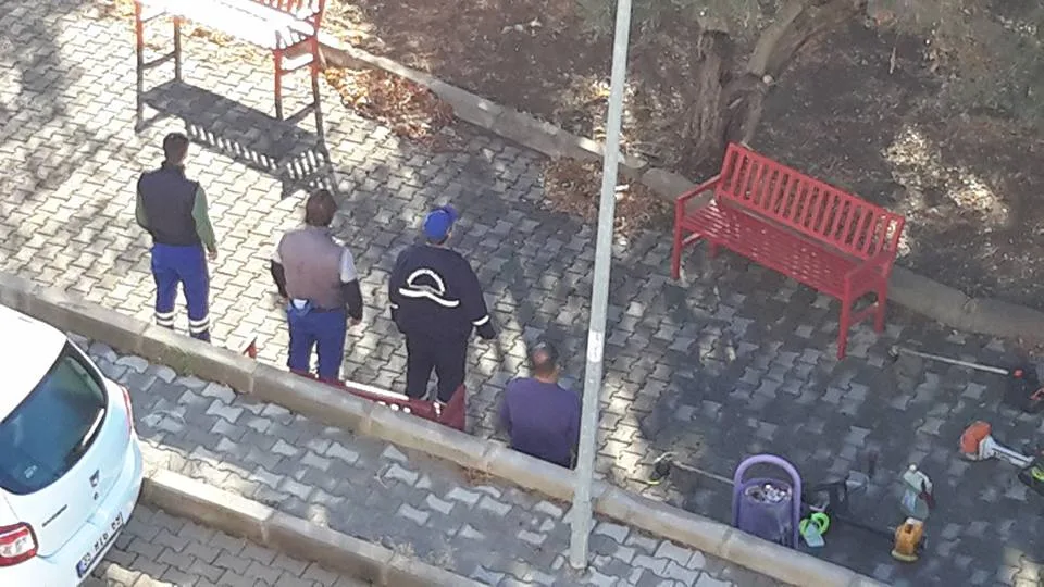 Fotoğraflar