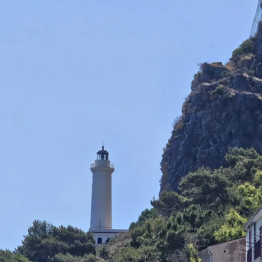 Fotoğraflar