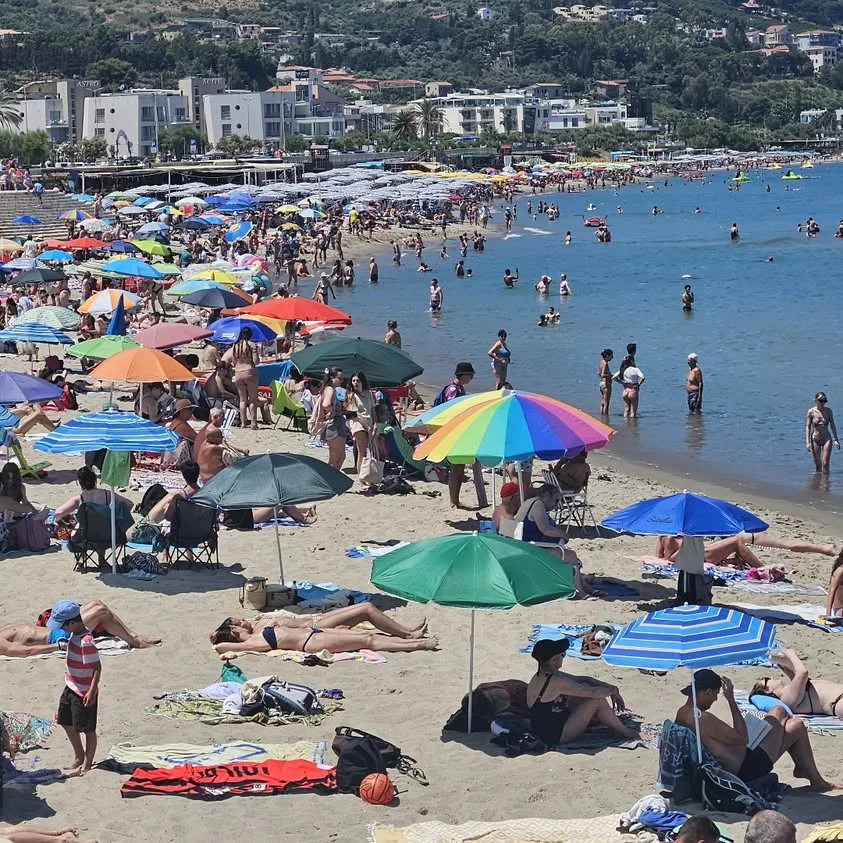 Fotoğraflar