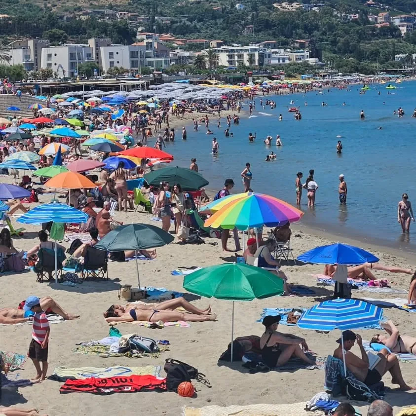Fotoğraflar
