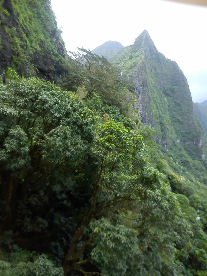 Hawaii, 2014