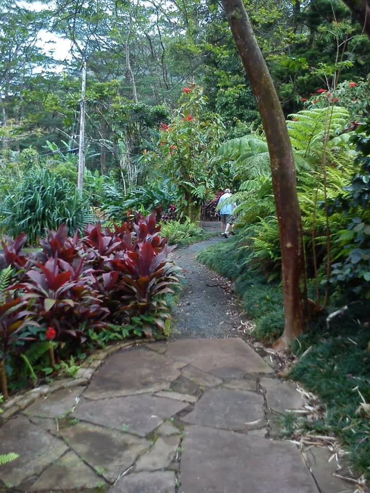 Hawaii, 2014