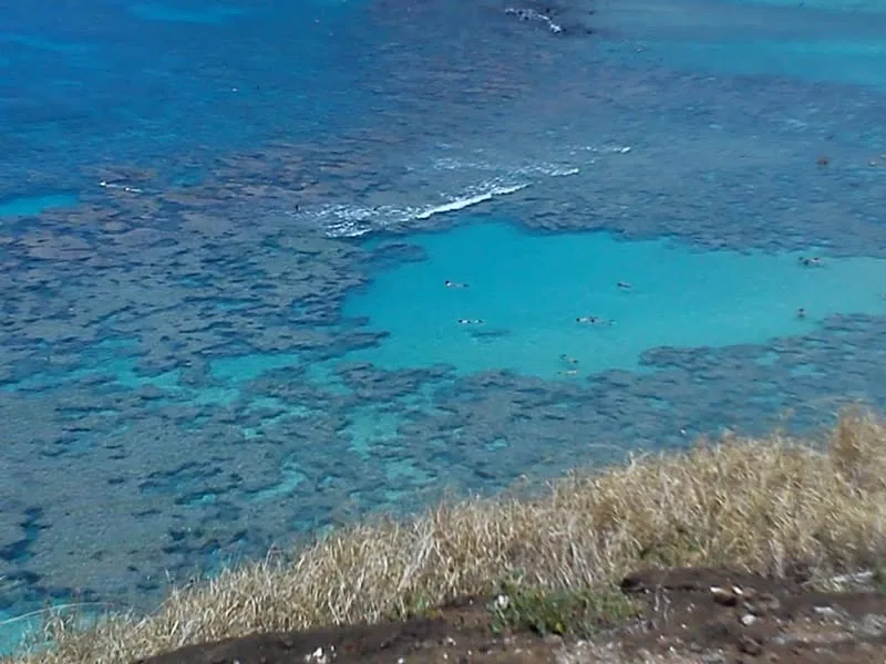 Hawaii, 2014
