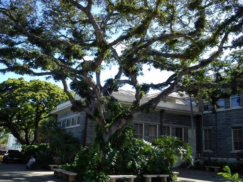 Hawaii, 2014