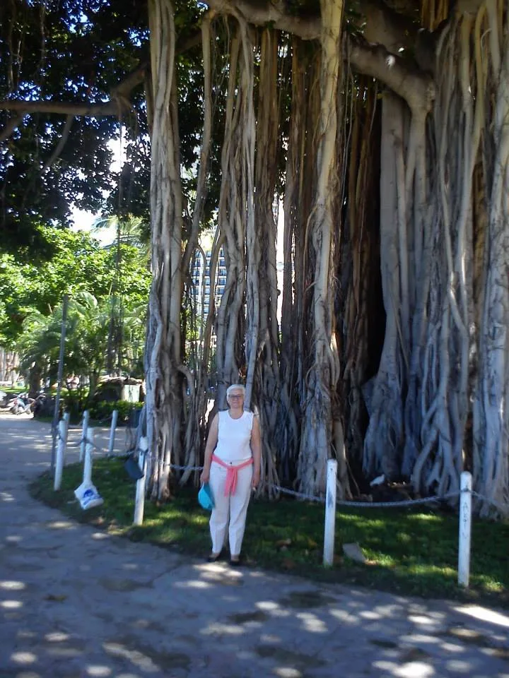 Hawaii, 2014