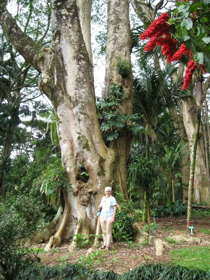 Hawaii, 2014