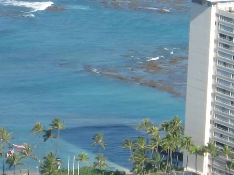 Hawaii, 2014