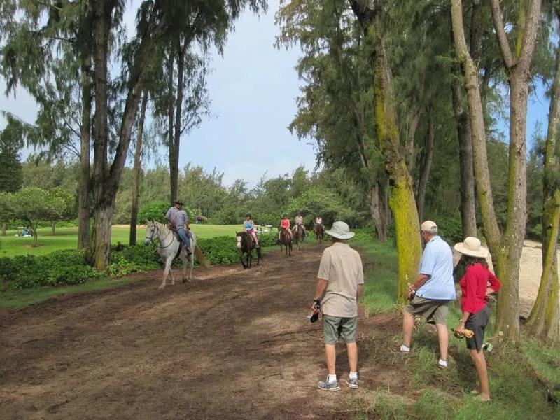 Hawaii, 2014