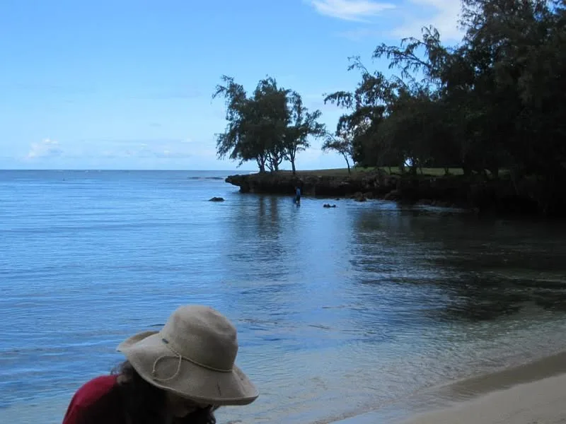 Hawaii, 2014