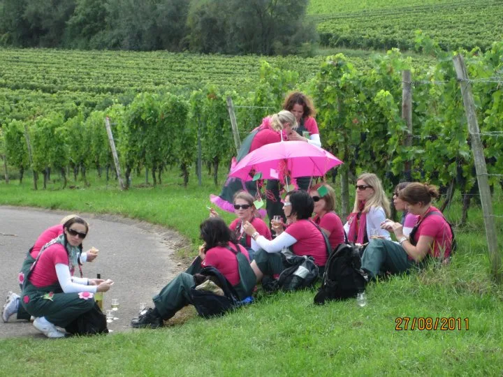 Kellerwegfest, Ağustos 2011