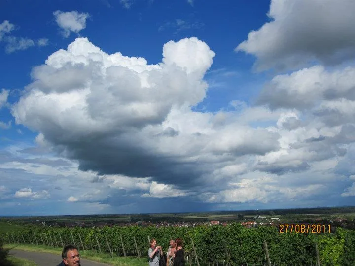 Kellerwegfest, Ağustos 2011