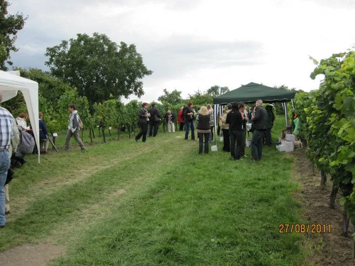 Kellerwegfest, Ağustos 2011