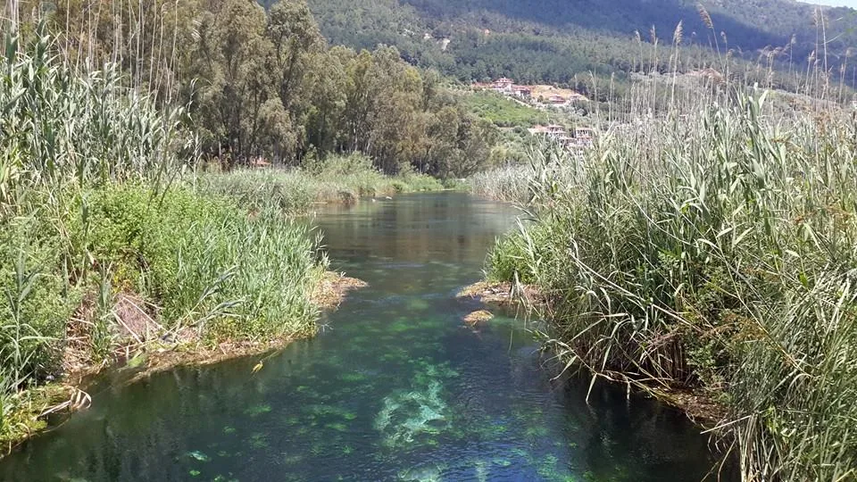 Anılarımdan