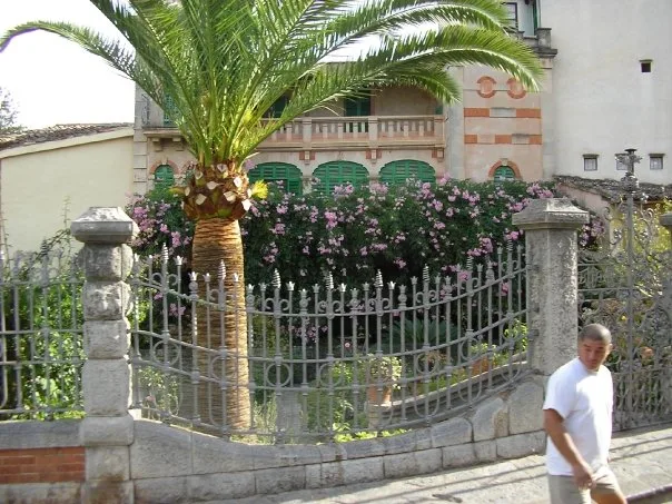 Mallorca, 2008