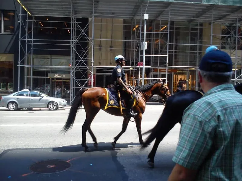 New York, 2014