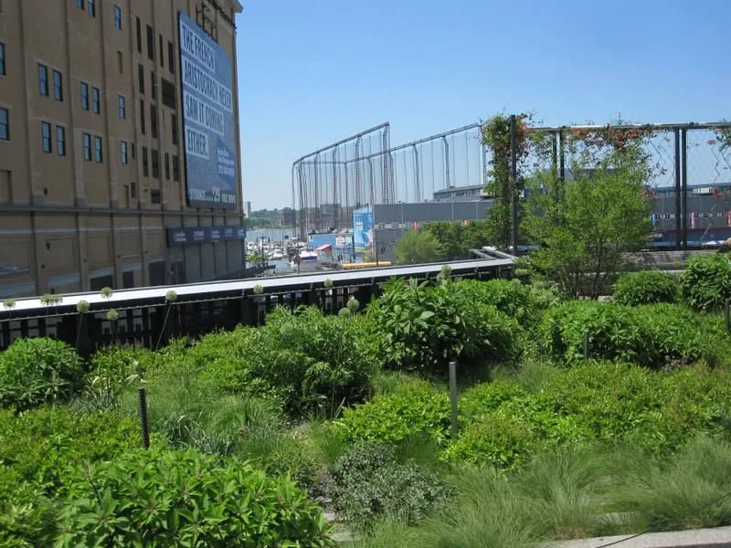 New York, 2014