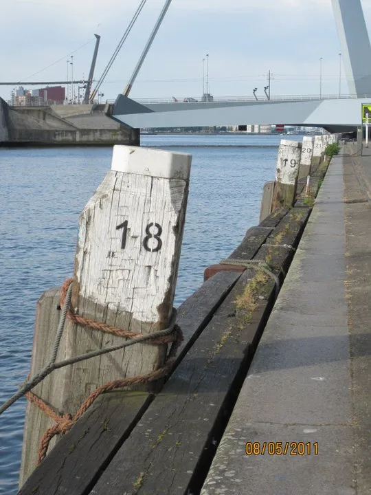 Rotterdam, Mayıs 2011