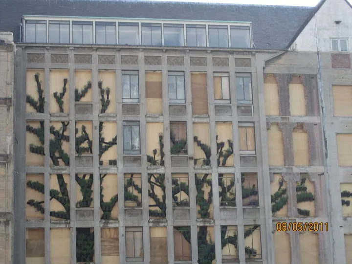 Rotterdam, Mayıs 2011