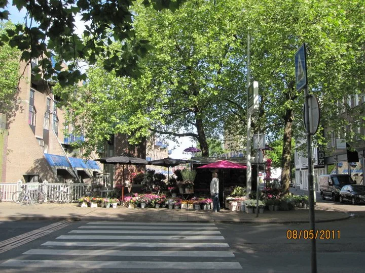 Rotterdam, Mayıs 2011