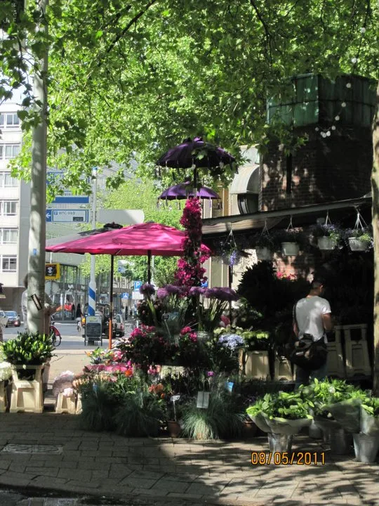 Rotterdam, Mayıs 2011