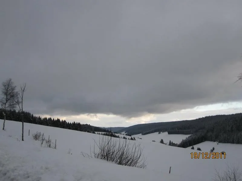 Triberg, Schwarzwald, 2011