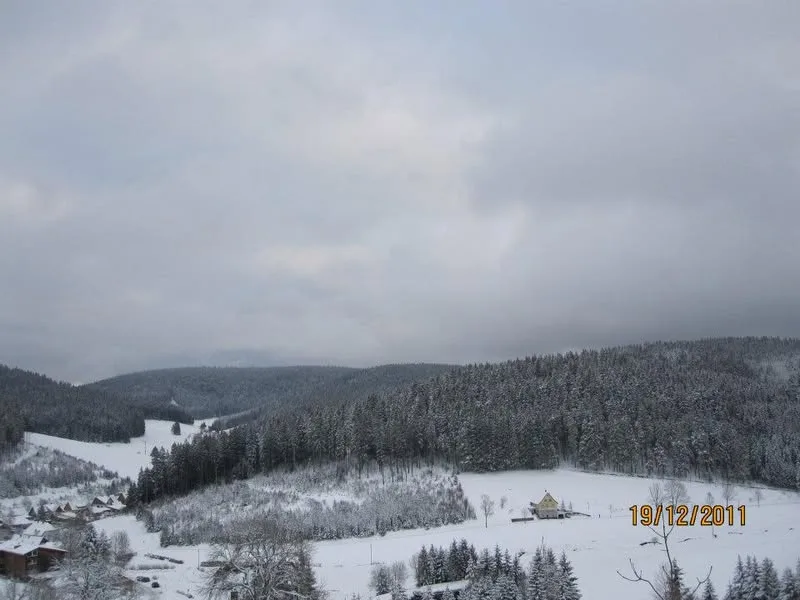 Triberg, Schwarzwald, 2011