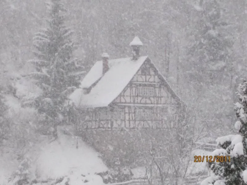 Triberg, Schwarzwald, 2011