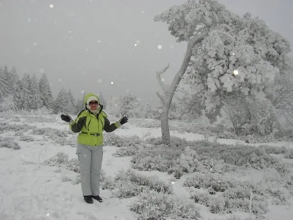 Willingen, Aralık 2008