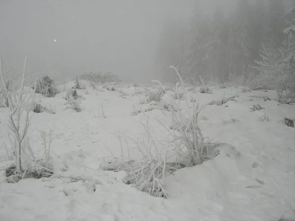 Willingen, Aralık 2008
