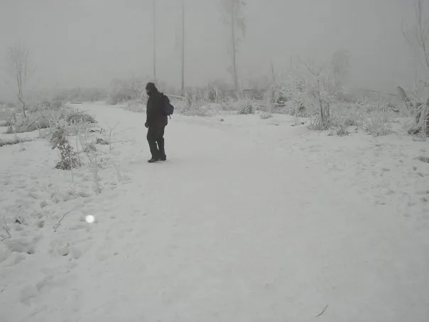 Willingen, Aralık 2008