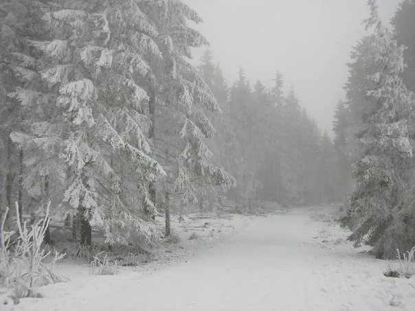 Willingen, Aralık 2008