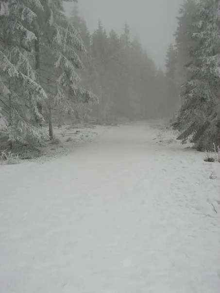 Willingen, Aralık 2008