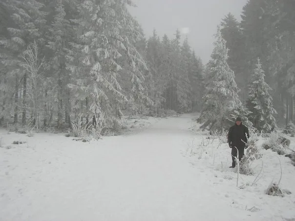 Willingen, Aralık 2008