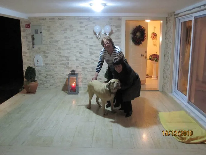 İstanbul, Aralık 2010